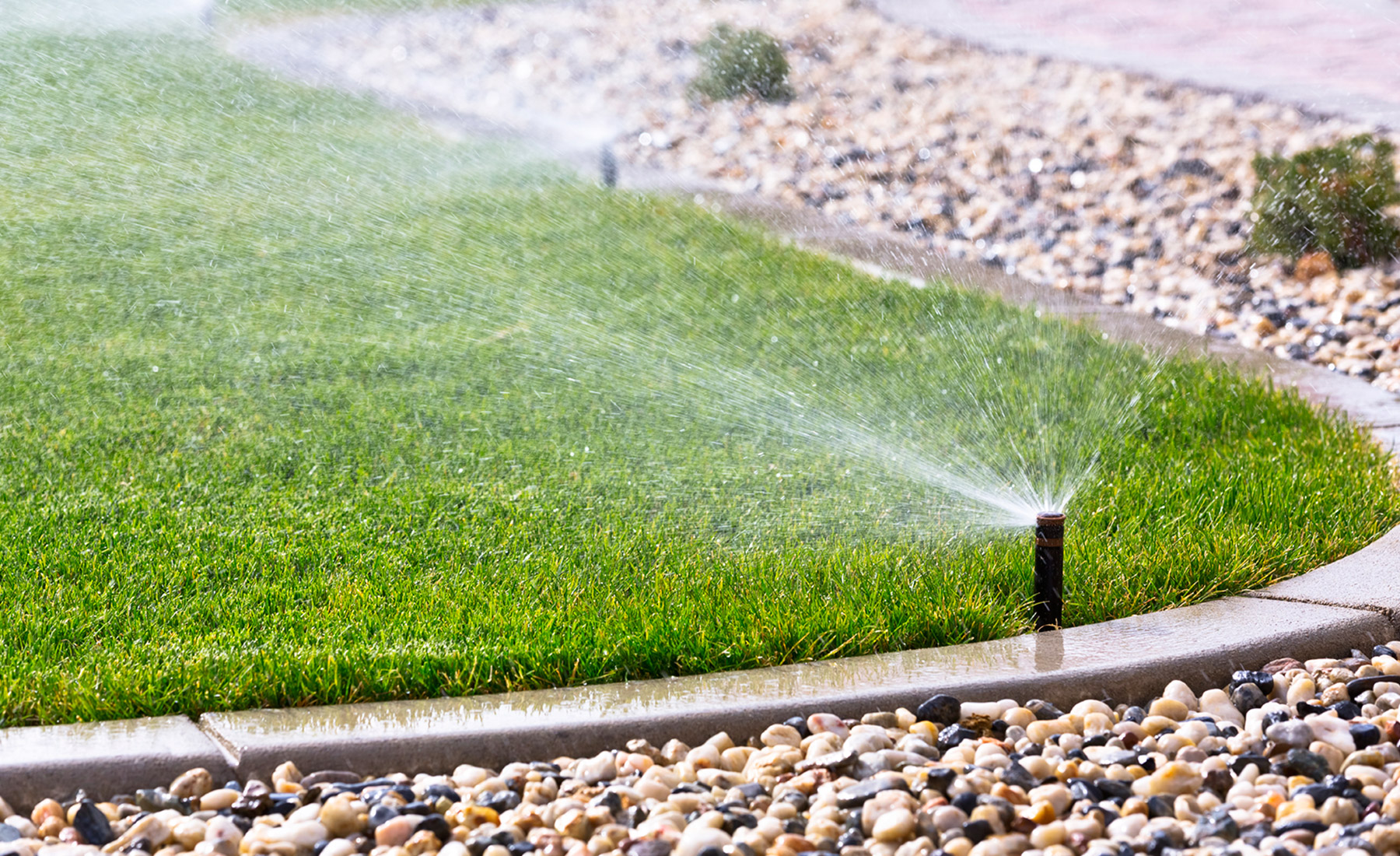 Wink Rachio IRO Irrigation Controller